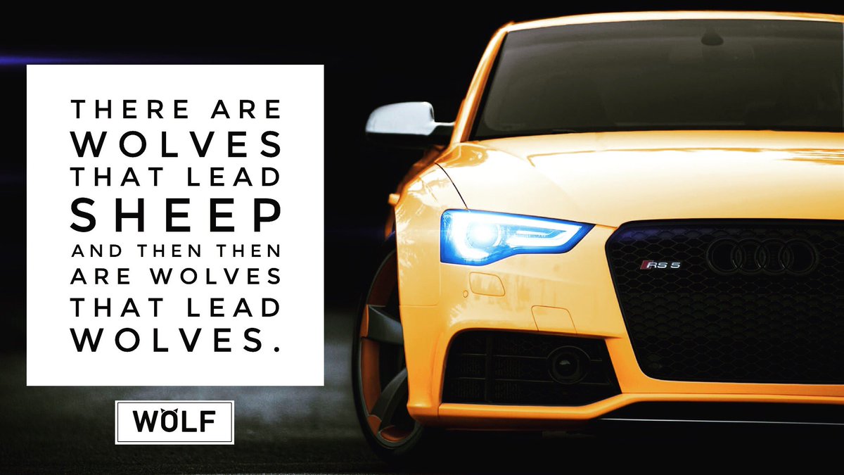 wolfautouk's tweet image. #Motivational @wolfautouk ✌🏻️