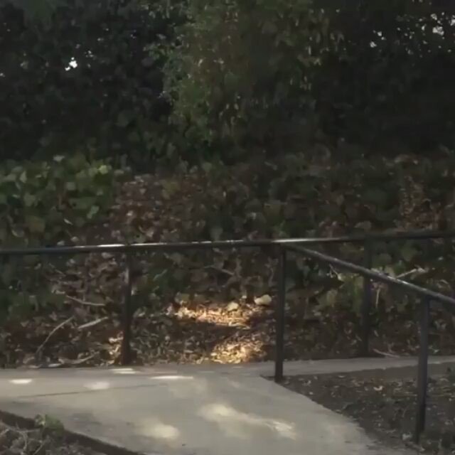 Wow <a href="/justindamer/">Justin Damer</a> ift.tt/2euRhpJ