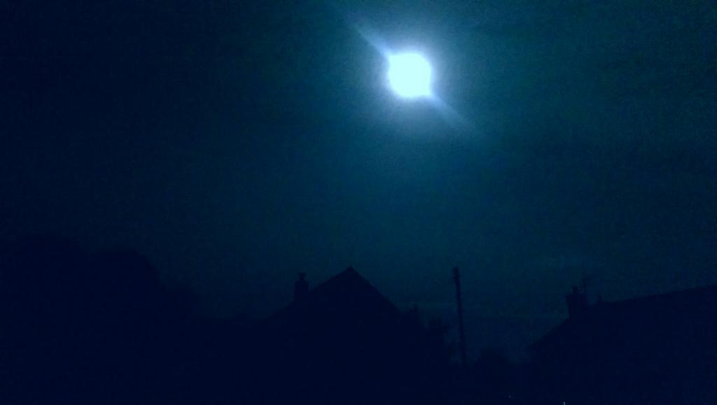 StomachOnPaws's tweet photo. Humans are staring out of the door at nothing. There are no naughty foxes, I've checked! Mental #supermoon https://t.co/LJ98nFosMA