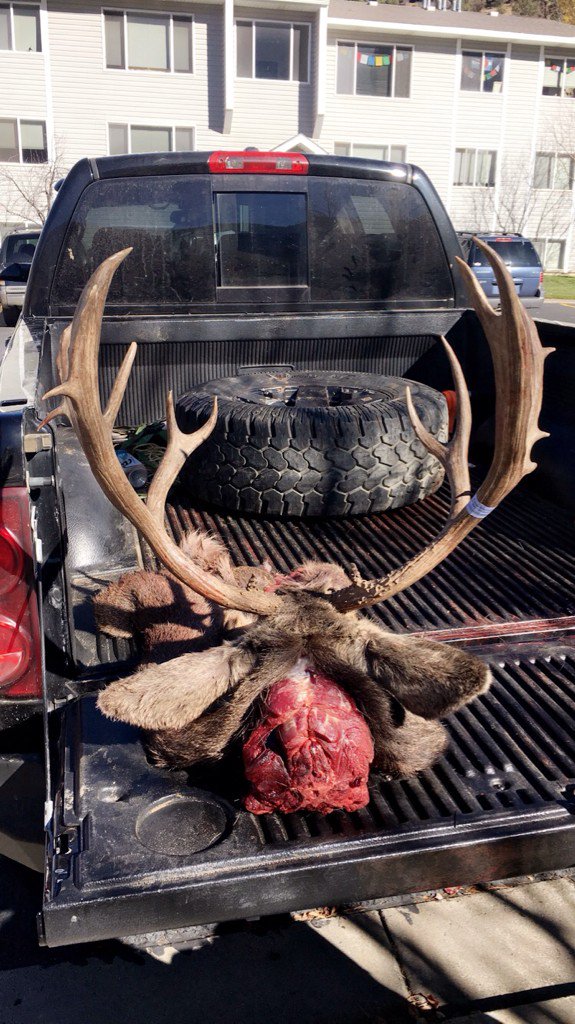 AlexRayPena's tweet photo. Good to see friends succeed! Here's a good buck! Photos courtesy of @pamelamarie_21 her and her dad! @MuleyFreak https://t.co/RyWXmdWBb1