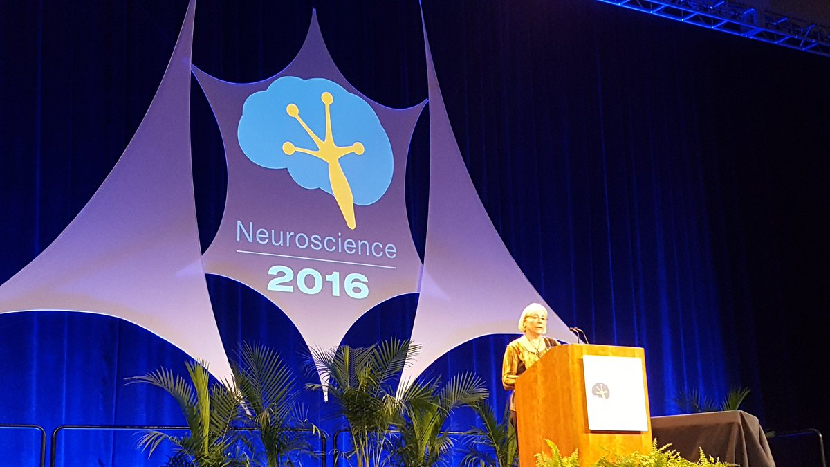 Lynne Kiorpes (a fantastic mentor and friend!) is speaking now at #sfn16