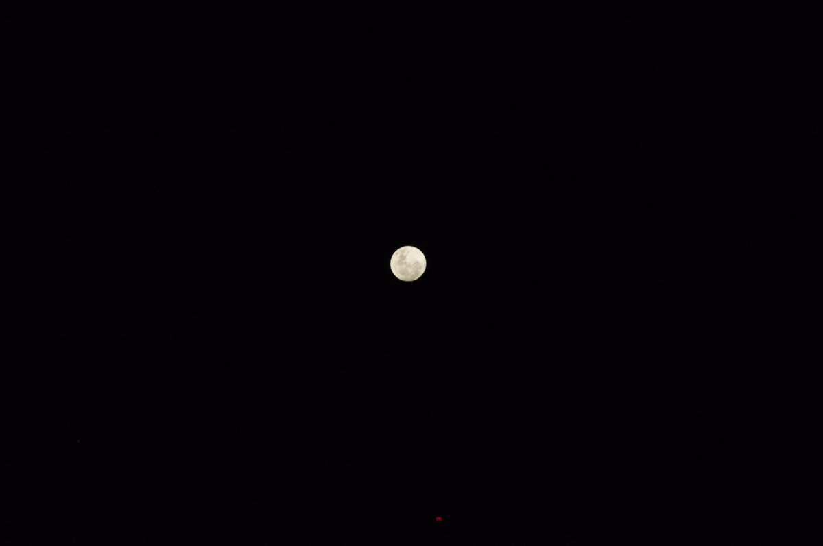 soy_LOLU's tweet photo. Corrimos a la ventana y quisimos retratarla: super luna llena. 🌚✨ #fullmoon #superluna https://t.co/PfKAuGFc4X