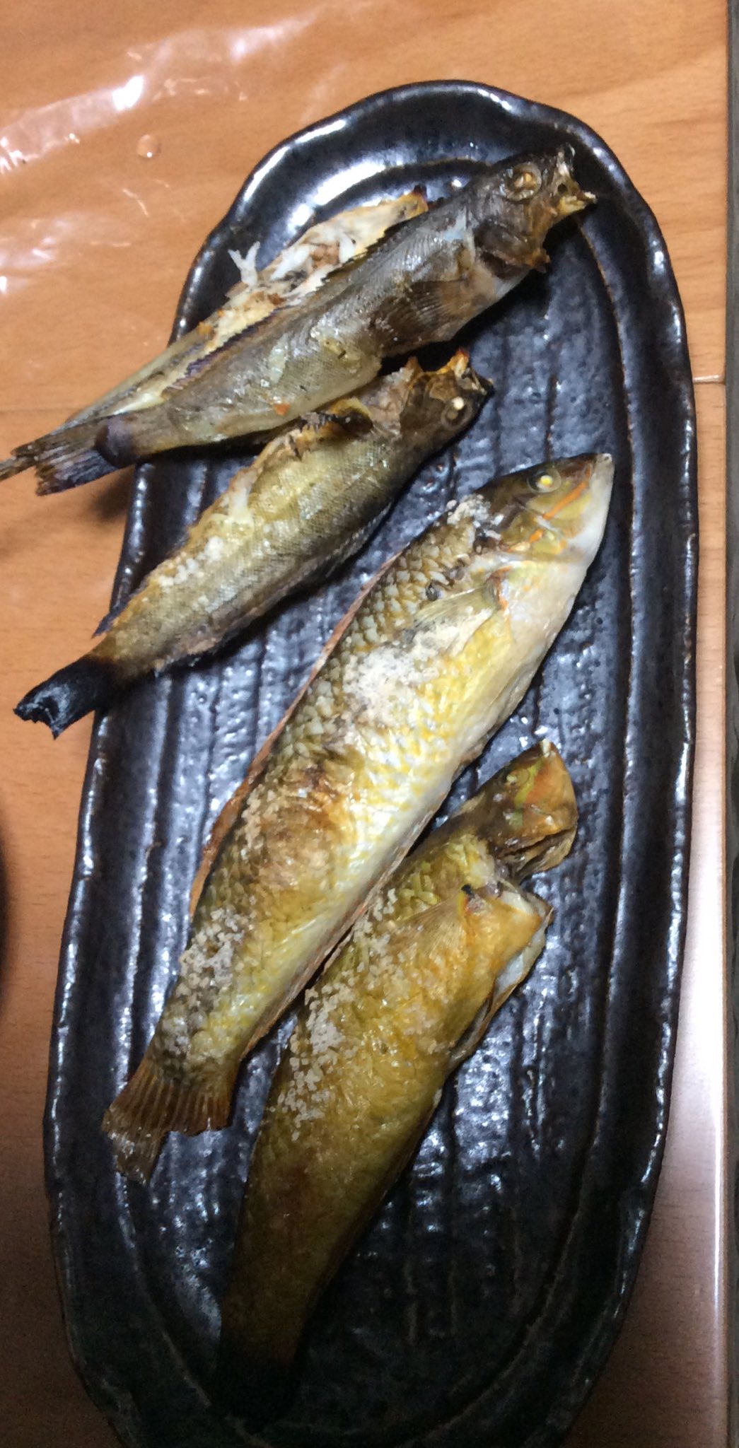 تويتر げん على تويتر 11月13日 日 釣果と仕掛け ボラとギザミ 2 アイナメ 2 ハゼ 青虫と本虫のミックス ボラは生イキくんで釣りました 写真はボラと塩焼きになったギザミたちです あの網の円が50 なのであのボラも多分50 ぐらいでしょうかね T Co