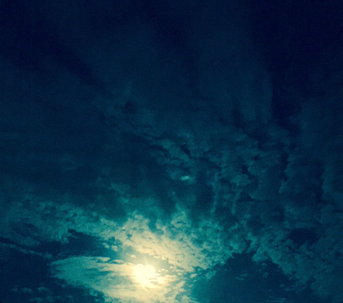 blondesRfun2's tweet photo. Beautiful moonlit sky... #dreamingadream https://t.co/9abJ2LBT2m