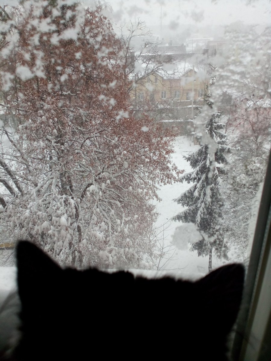 KsKindrat's tweet photo. #тиНеПовертайвсецезнов https://t.co/oETMQ4vGdh