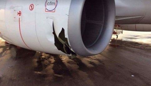 couriermail's tweet image. Planes damaged, shipping containers tumble in Brisbane storm trib.al/Y6K6R9A #bnestorm Pics: Dave Andrews, Airline Hub Buzz