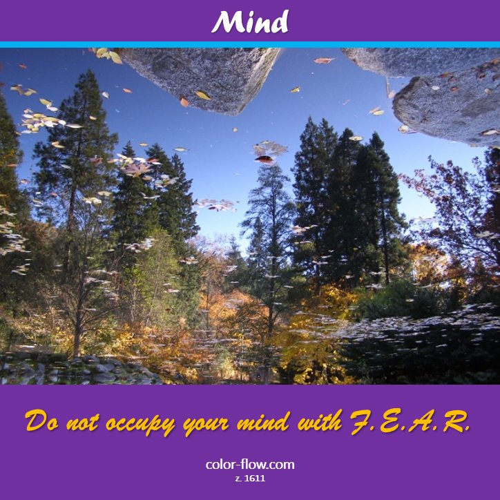colorflow's tweet image. Do not occupy your mind with F.E.A.R. - Think well. color-flow-heal.blogspot.com/2016/11/do-not…