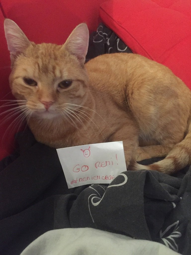 On soutient <a href="/svlreplay/">SVLReplay !</a> Rémi Gaillard (<a href="/nqtv/">Rémi Gaillard</a>) #remiencage #remigaillard <a href="/BravoLotoOff/">BravoLoto Officiel</a> pour la cause ! Mon chat était aussi abandonné !