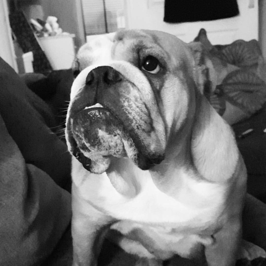 BullyMagic's tweet image. Peggy - Me he doing some of da life thinking