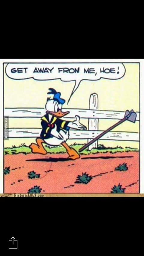 When someone hates gravity falls and follows on twitter you saying Bill 24-7(never happened to me but)
