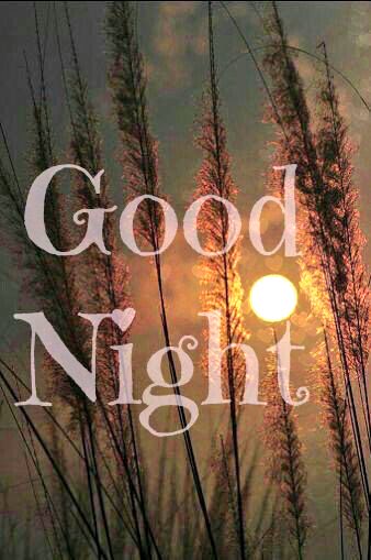 agency_privacy's tweet image. #BoaNoite #GoodNight youtu.be/zP0sqRMzkwo #PythonTweet for @michhovius @histatters #PPagency #PPagents #Ppaged