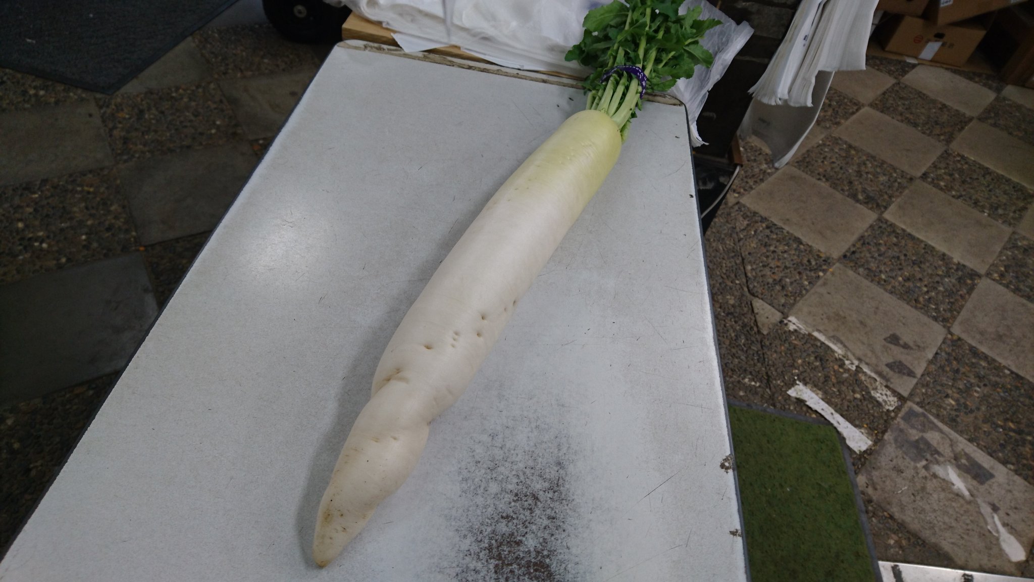 道の駅かつら おはようございます 農家さんが作ったお野菜の中には 面白い野菜 があります 規格外なので基本販売しません 本日の 面白野菜は ドリル大根 力強さを感じます おろし金と凄いバトルが展開されそうなこの大根 頂きました 職員皆で 道の駅かつら おはようございます 農家さんが作ったお野菜の中には 面白い野菜 があります 規格外なので基本販売しません 本日の 面白野菜は ドリル大根 力強さを感じます おろし金と凄いバトルが展開されそうなこの大根 頂きました 職員皆で
