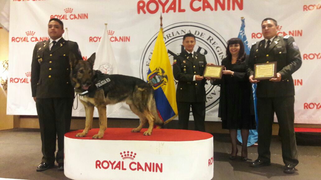 MinGobiernoEc's tweet photo. #AERCAN realizó reconocimiento a las Escuadras Caninas De Rescate de personas y buscadores de Restos Humanos del #CRAC y #GOE. https://t.co/d6ezFQNYB6