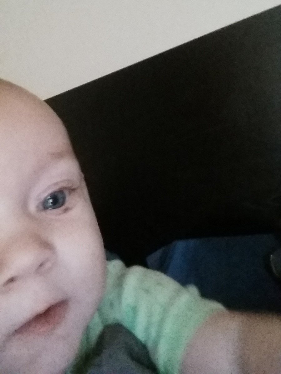 LivWithoutLimit's tweet photo. Günther took a selfie today. Husband held the camera; Güni touched the screen. So, #caltech107, who owns the #copyright? ;) https://t.co/lLFWPcwA7T