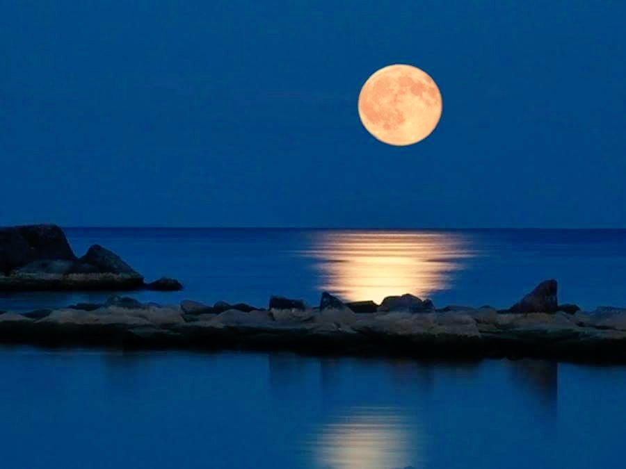 👉radios.com.br/aovivo/Web-Rad… 💋😊😘