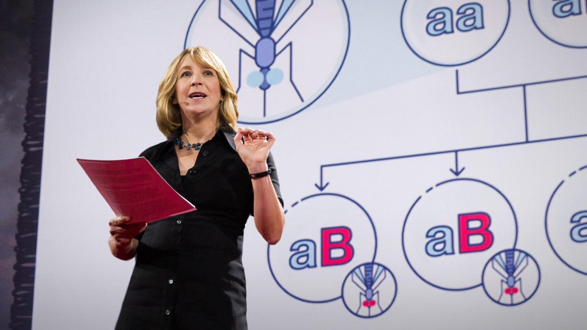 TEDTalks's tweet photo. Gene editing can now change an entire species — forever: https://t.co/ZMO92SlBVk @JenniferMKahn https://t.co/w5mpLsGPrN