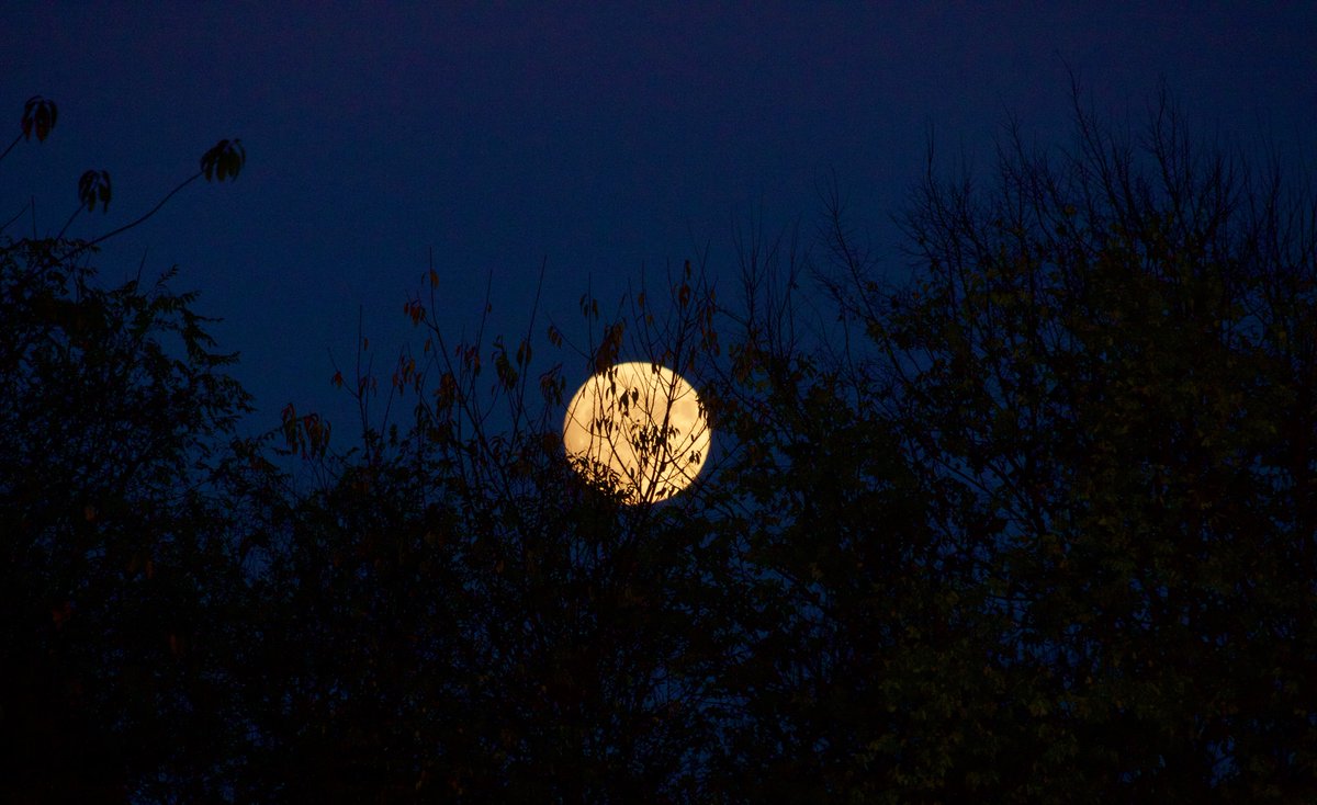 thisisrondavis's tweet photo. Dat #moon. It's super. #Ozarks #417 #SGF https://t.co/fDKrDXsbUQ