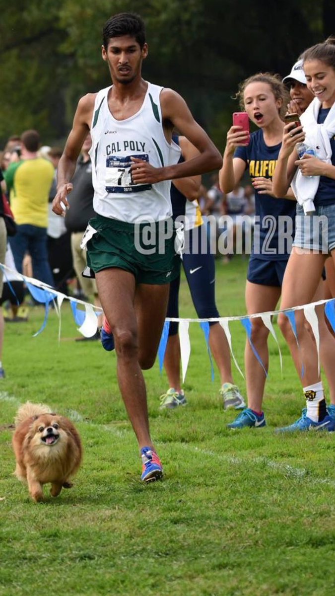 ARunnersEye's tweet photo. When mom says you have to walk the dog at 8:45, but you have a race at 8:50: https://t.co/KjaSIUwEO9