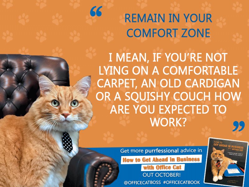 SimonSchusterAU's tweet photo. #ProTip from @officecatboss No.5 #MondayMoti #OfficeCatBook #BusinessTips #StayComfortable https://t.co/Fg2IR63dnt