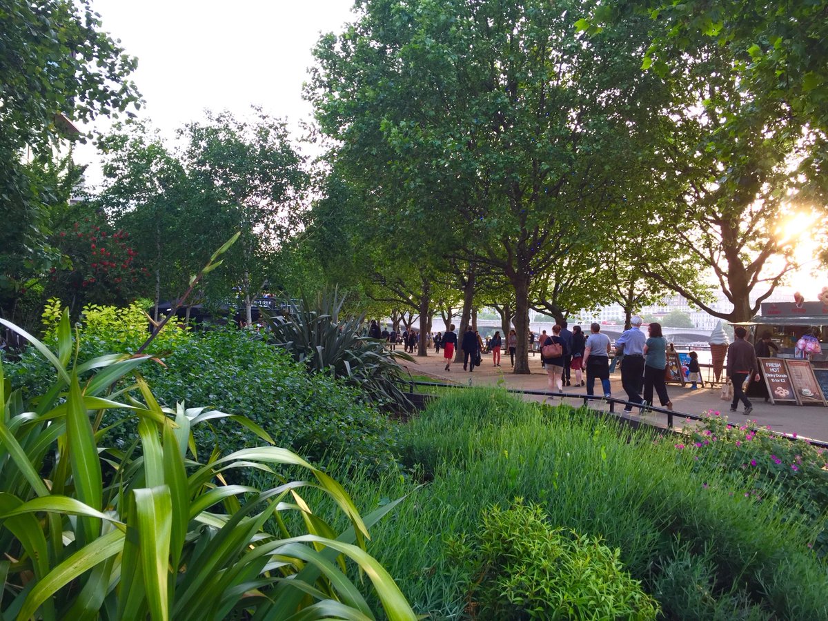 TCOSLondon's tweet photo. @GlenTerry3 That's the south landing building which would destroy this public green space that already exists on the #SouthBank https://t.co/5Kp50458Be