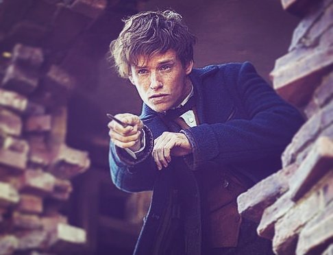 lacosacine's tweet photo. ¡SORTEO! 
Premiere de #AnimalesFantasticos:
1) Dale RT a este tweet
2) Tuiteá con #QuieroSerUnMago. ¿Por qué mereces las entradas? https://t.co/tqMdjlINou