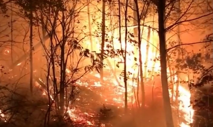 WTKR3's tweet image. Forest fires force hundreds to evacuate in Appalachia bit.ly/2evslOS #NorthCarolina
