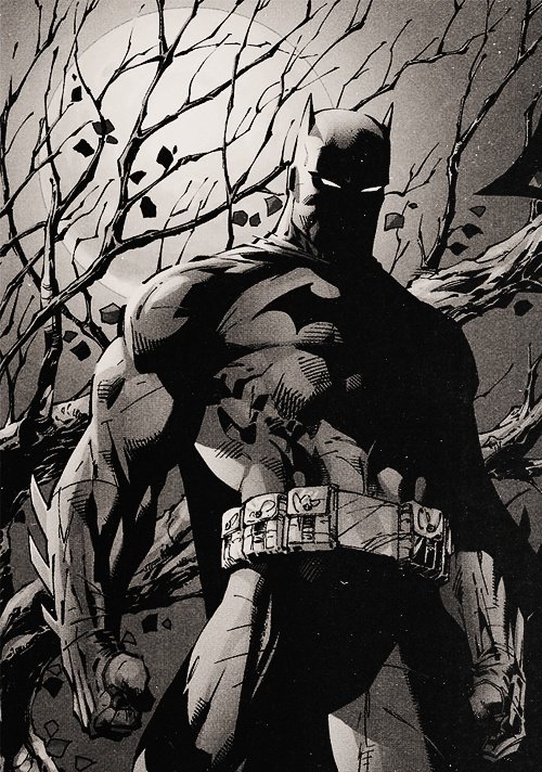 TheBatmanDC_'s tweet image. ►мч pαяєитs тαυgнт мє α dιƒƒєяєит lєssoи...
тнєч тαυgнт мє тнє woяld oиlч мαкєs sєиsє ιƒ чoυ ƒorcє ιт тo.◄

—тнє вαтмαи