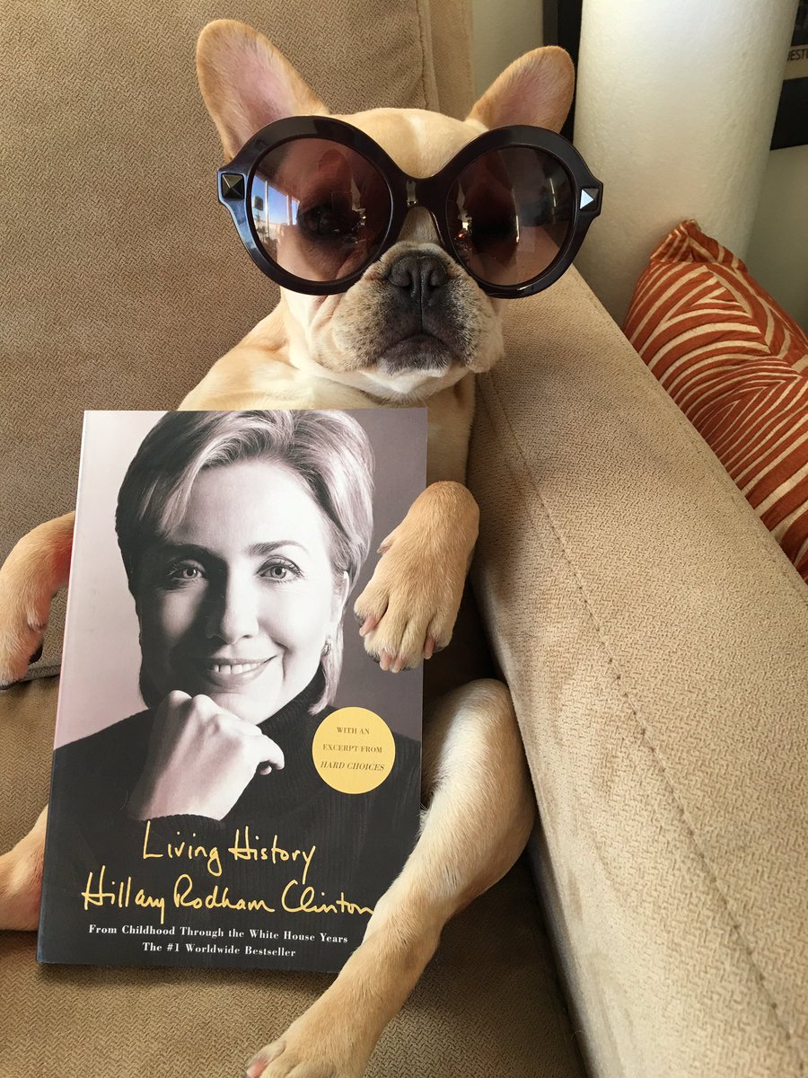 KACBAGG's tweet photo. Everyone has been a little out of sorts since the election, I even found my dog trying to hide her crying eyes @HillaryClinton https://t.co/uwy9q6NBeq