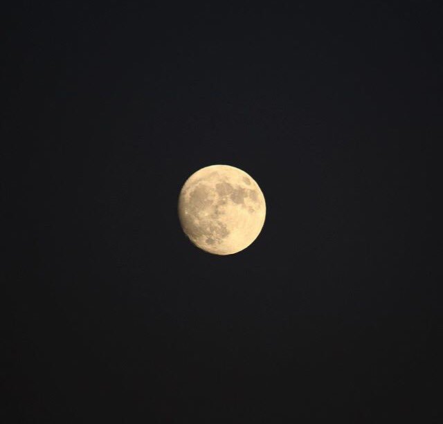 loukyparks's tweet photo. Make sure you look up tonight or tomorrow night for our #SUPERMOON. 🌕#BestParksEver #fullmoon 
📸: @originalgangsta https://t.co/CC5xILV38m