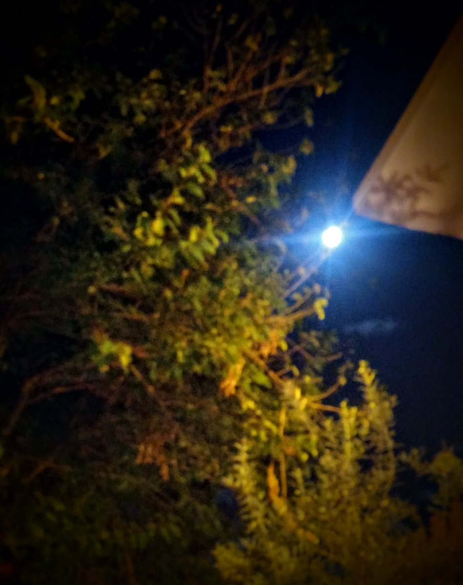 sebnem's tweet photo. @courtneyagras @NASA caught it in Marrakech #COP22 next time it's this close, earth is carbon-free #ElectraSeed @freeelio https://t.co/CroAohjJaj