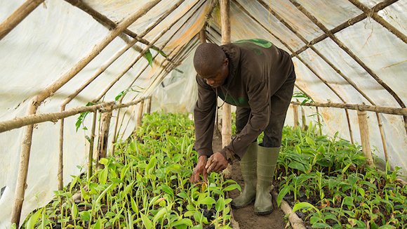HECtar Grower tweet media