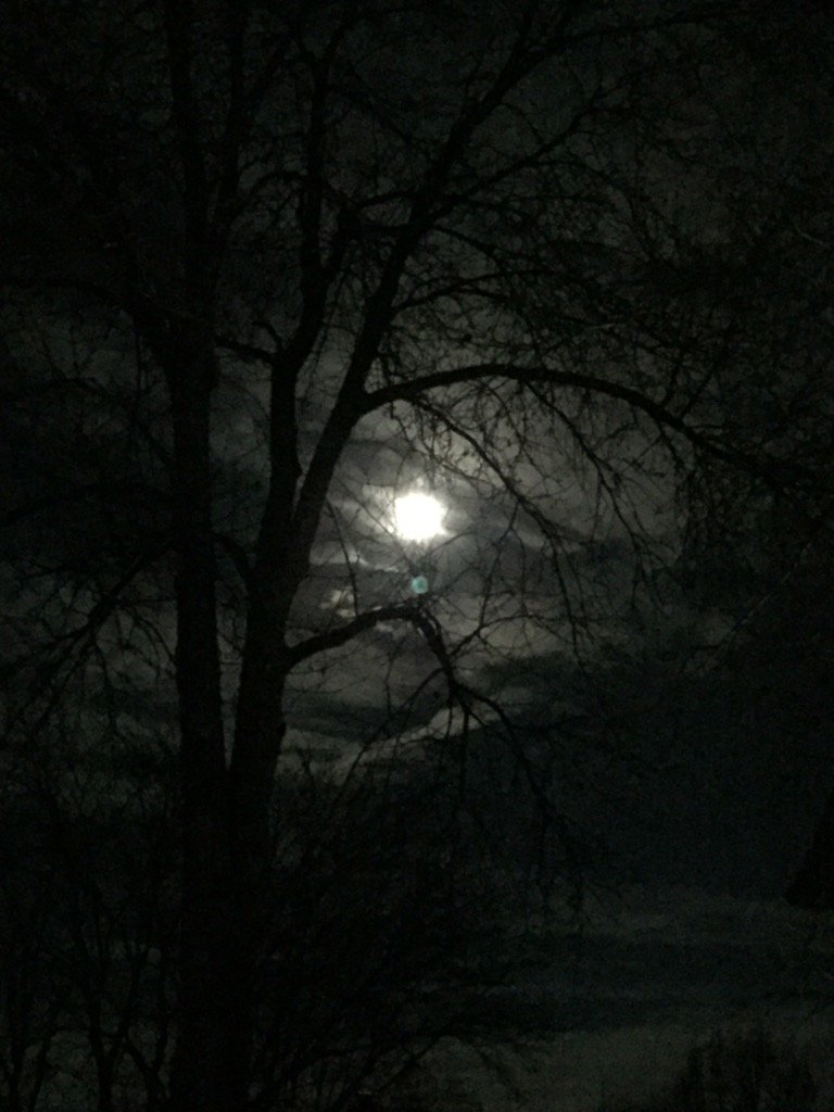 JMMSWIMFAN's tweet photo. Eve of JMM Boys Swim &amp; Dive Season, Super Moon signals Super Season. Go Green!!!! https://t.co/DLN61pvSly