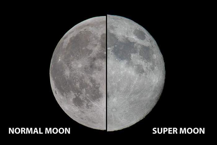 marsrader tweet picture