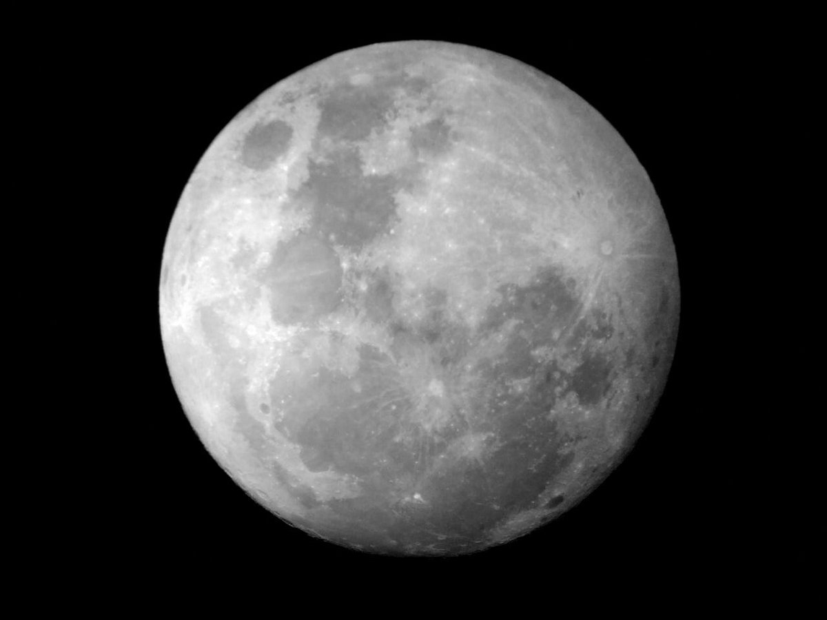 maxi_polo's tweet photo. #SuperLunaEnTN desde Los Polvorines...con celular y telescopio Mak127 https://t.co/1WEonzJgv3