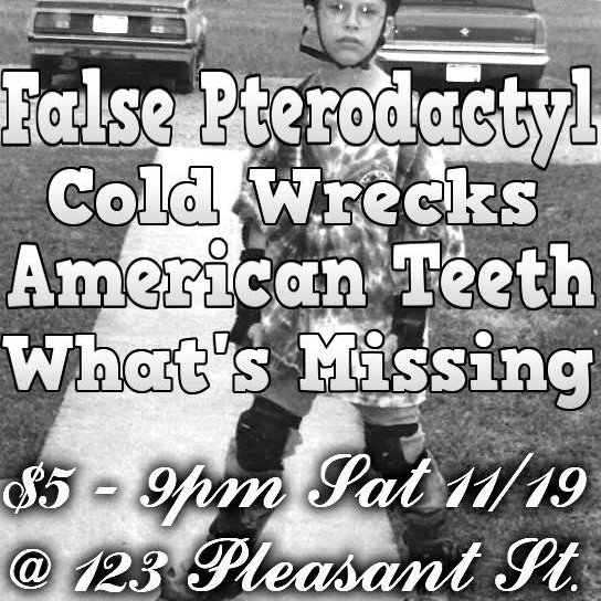 123pleasant's tweet photo. Next Sat Nov 19 False Pterodactyl, Cold Wrecks, American Teeth, What's Missing 9pm $5@falsepterodacty @ColdWrecks https://t.co/wmBldGdc0J