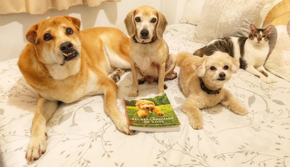 VictoriaS's tweet image. These four never fail to make me smile. It's especially fun to see them with their copy of my new book!