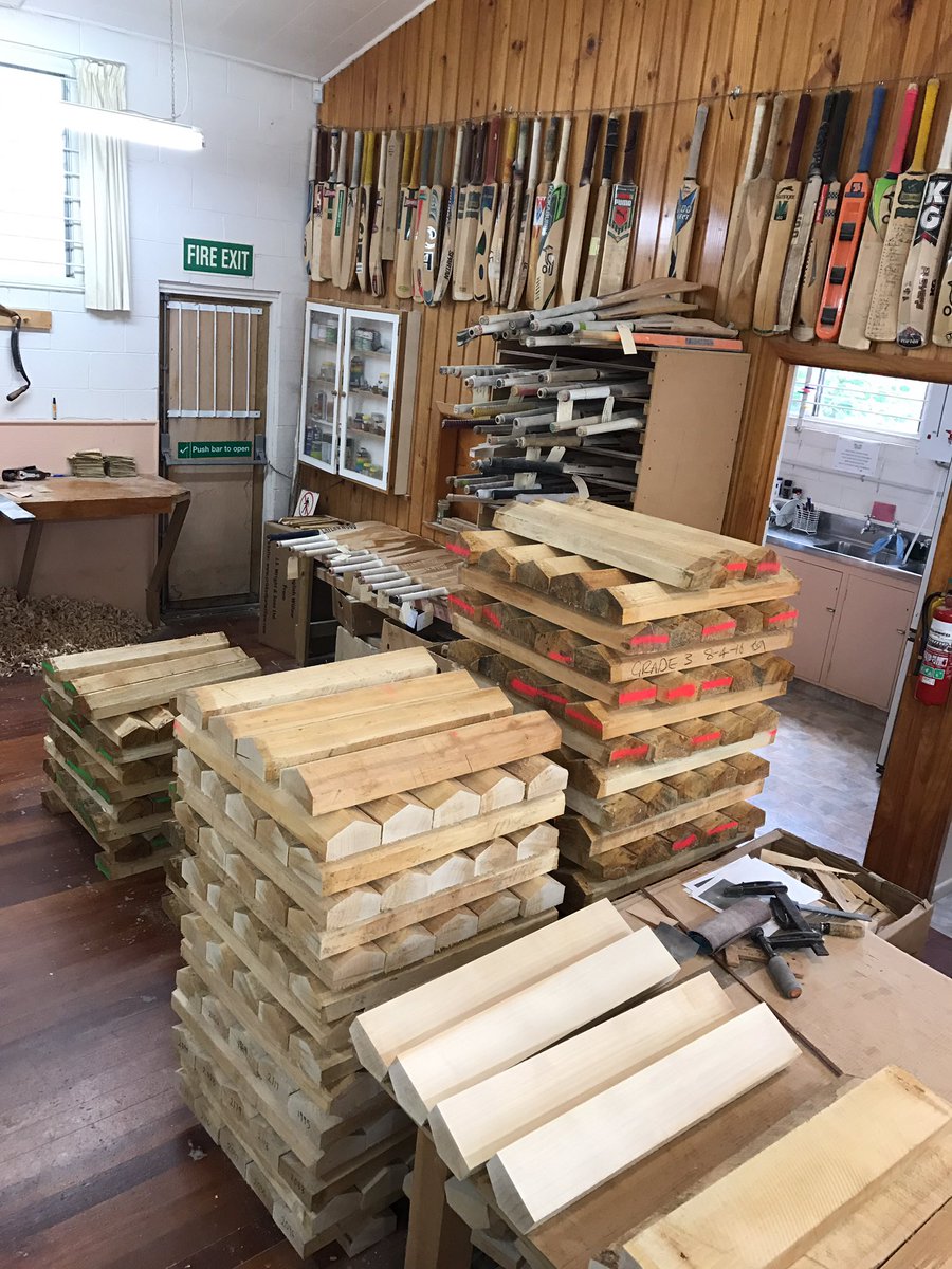 New Willow, heaps of repairs. Cricket season is here.
