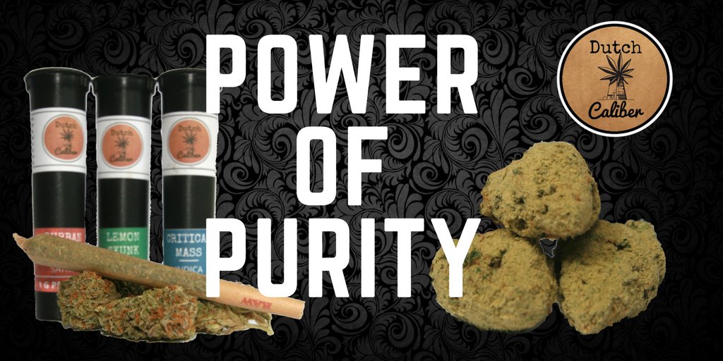 Dutch_Caliber's tweet photo. #PowerofPurity Dutch Caliber's solventless concentrates make our Kief Infused Pre-Rolls and Dry Caviar a HIT! https://t.co/lpLjc8dF78