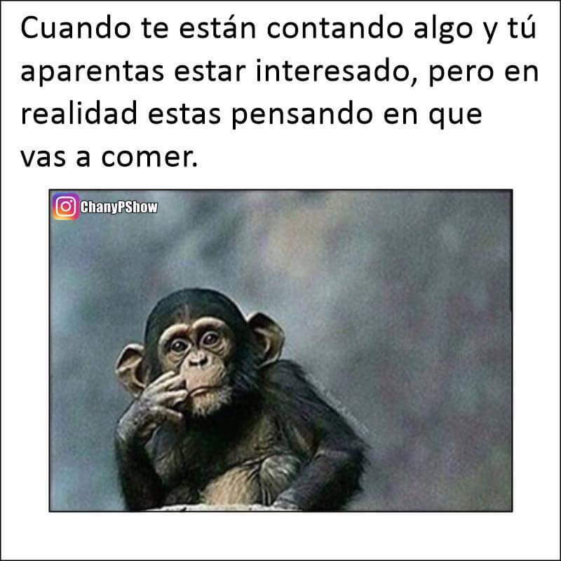 Alfredo Bonilla tweet media