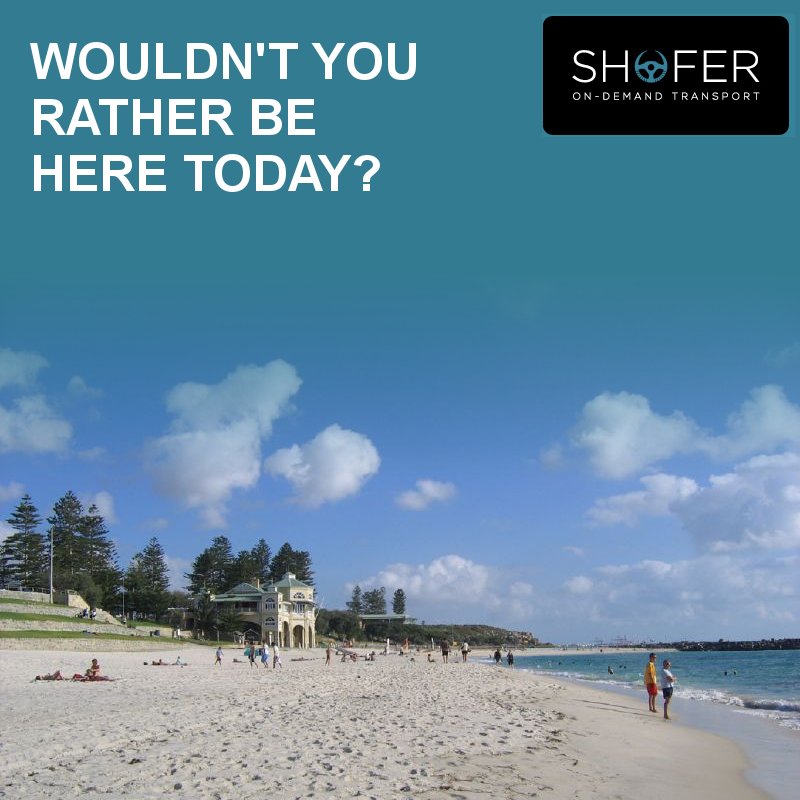 ShoferPerth tweet picture