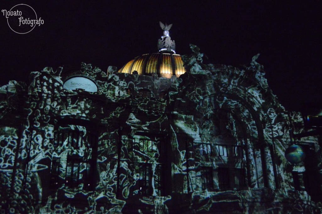 AnclaPhotoMX's tweet photo. Paradiso @bellasartesinba @filuxmexico #FILUX2016 #FiluxCDMX https://t.co/HConvRi7sI