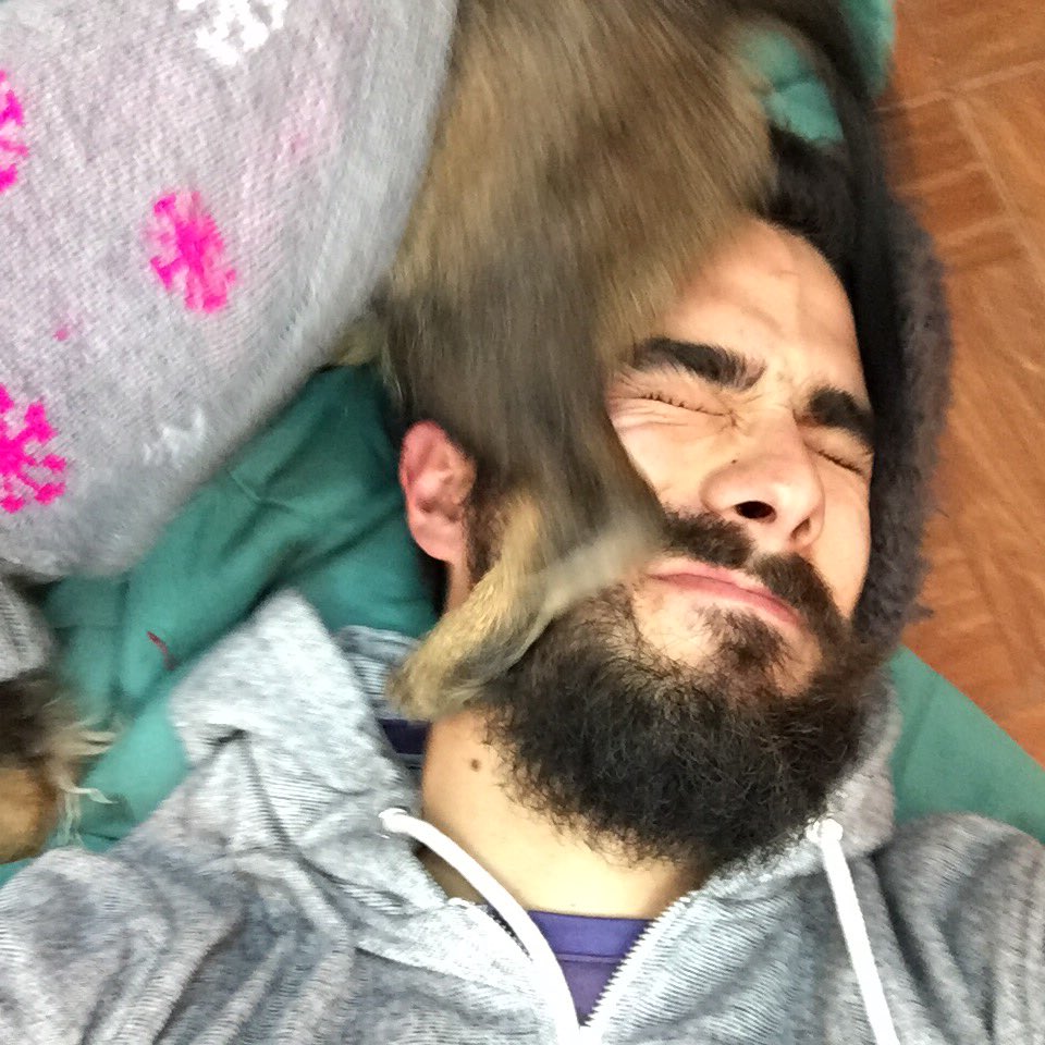 Que padre cuando te acuestas en la cama de tus perras para tomarte fotos con ellas...