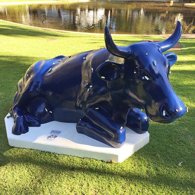 CityofPerth's tweet photo. Introducing... #COWPARADE 2/40
Idle Flies
By Amy Perejuan-Capone
pic @trishka
Share with us YOUR favourite cow!
#cowparadeperth #cityofperth https://t.co/y6jYgf5pR9