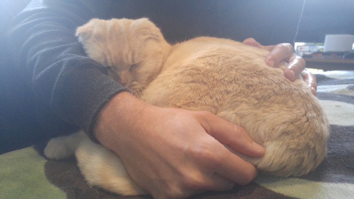 CaseyLucas's tweet photo. #lilbread status: https://t.co/tCrH0obVVz