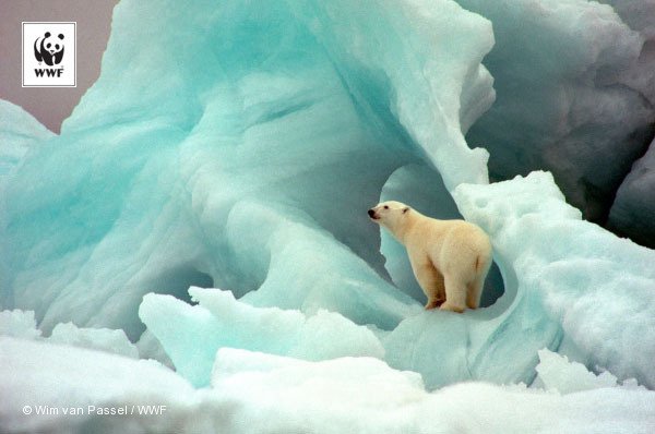 Les émissions mondiales de CO2 se stabilisent, mais le climat continue de s’emballer bit.ly/2g9EzNE #COP22 #Climat