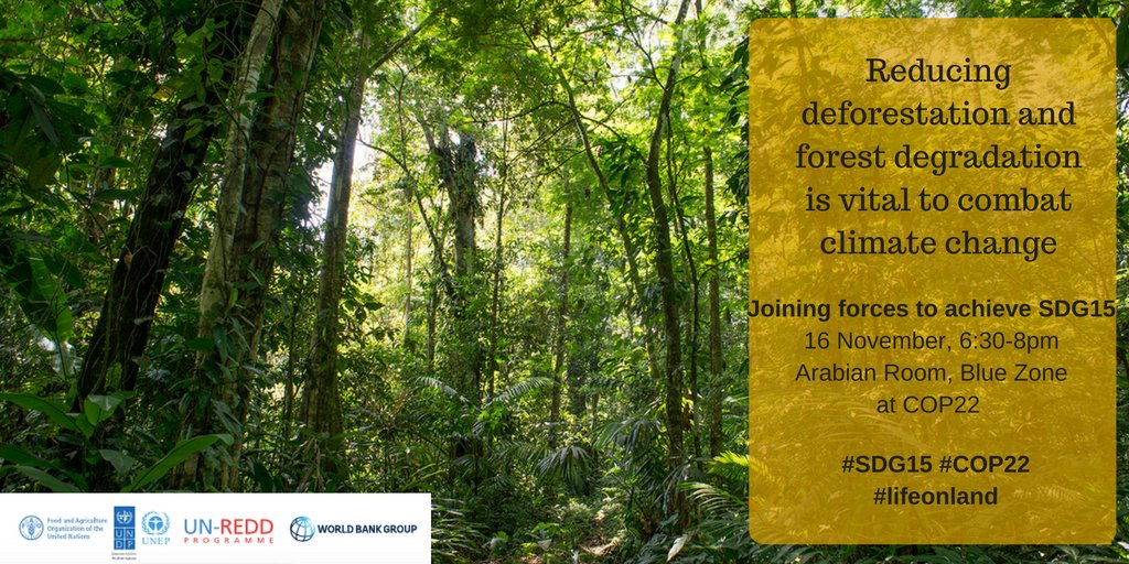 unredd's tweet photo. At #COP22? Don't miss our side event with @WBG_Climate on 'Joining forces to achieve #SDG15'! #lifeonland https://t.co/1XMHDtgAOx