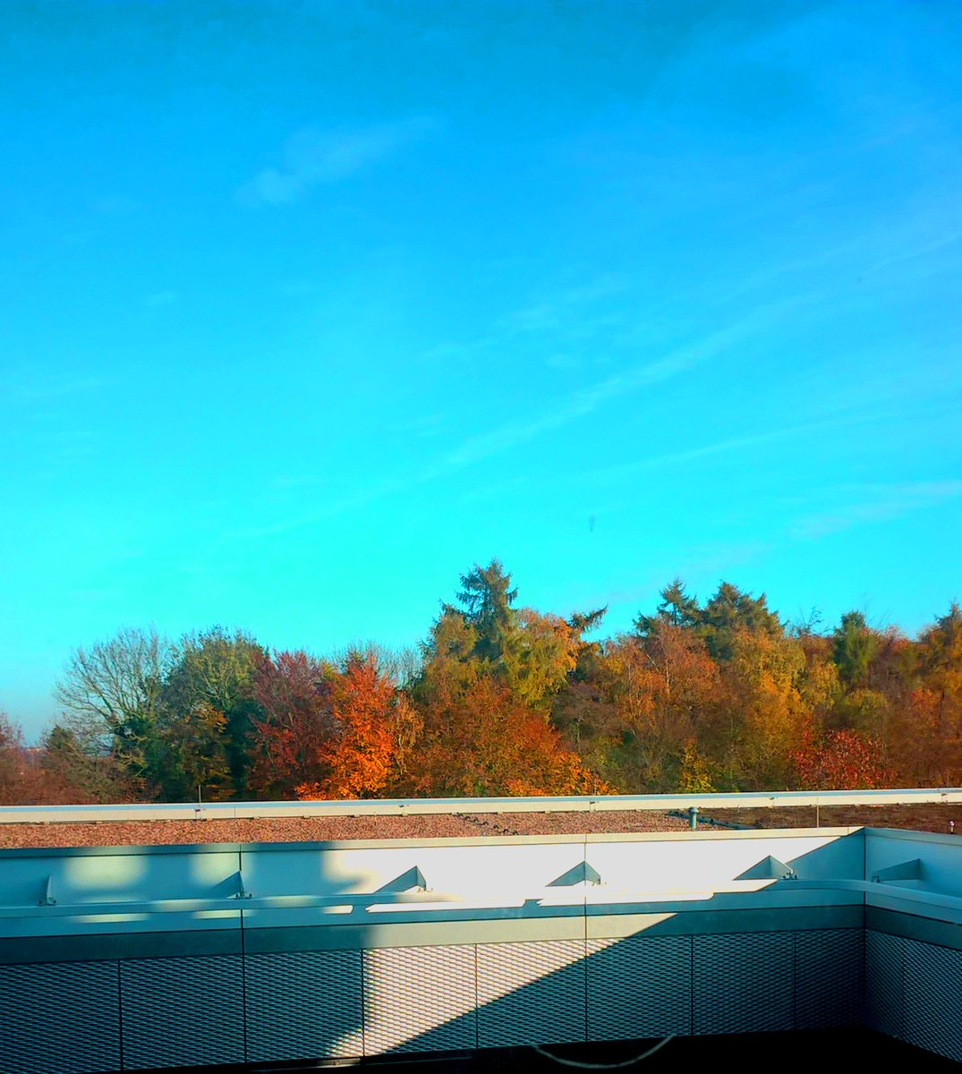 FS_Geschichte's tweet photo. All die Farben, es ist voller Sterne. (AH) #Blickausdemfenster #winteriscoming https://t.co/JxjQhhKQLP