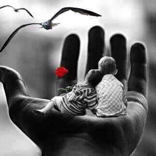 jaman_Sharthan's tweet photo. .
.
.
.
تمنيت حباً يدوم طويلاً
 ف دآم الحب!
ورحل الحبيب!❥ https://t.co/Ke1eb0swHs