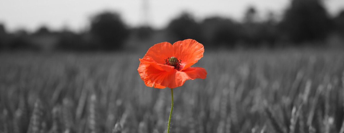 LifelineBarnsYP's tweet photo. @DanJarvisMP @Lifeline_MARCH Supporting #veterans in #Rotherham #Calderdale &amp; #Bradford https://t.co/DsjM42Ozob https://t.co/wCD9EynpEc