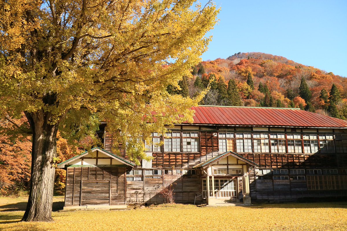 お らい くん 福島県大沼郡昭和村で生き続けている昭和11年生まれの旧喰丸小学校 ずーっと長生きしてね 昭和村 旧 喰丸小学校 喰丸小学校 映画ハーメルン イチョウ 銀杏